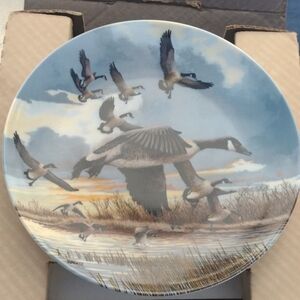 Wildlife Art Decorative Plate